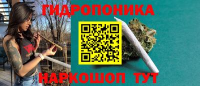СК Кимры