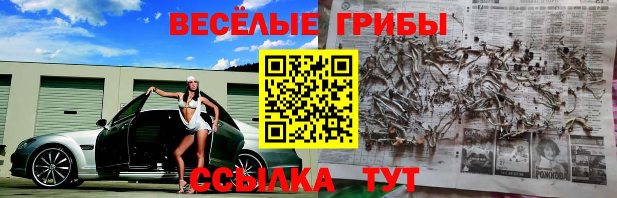 Псилоцибиновые грибы мицелий  дарнет шоп  Котельники  Вход с VPN 
