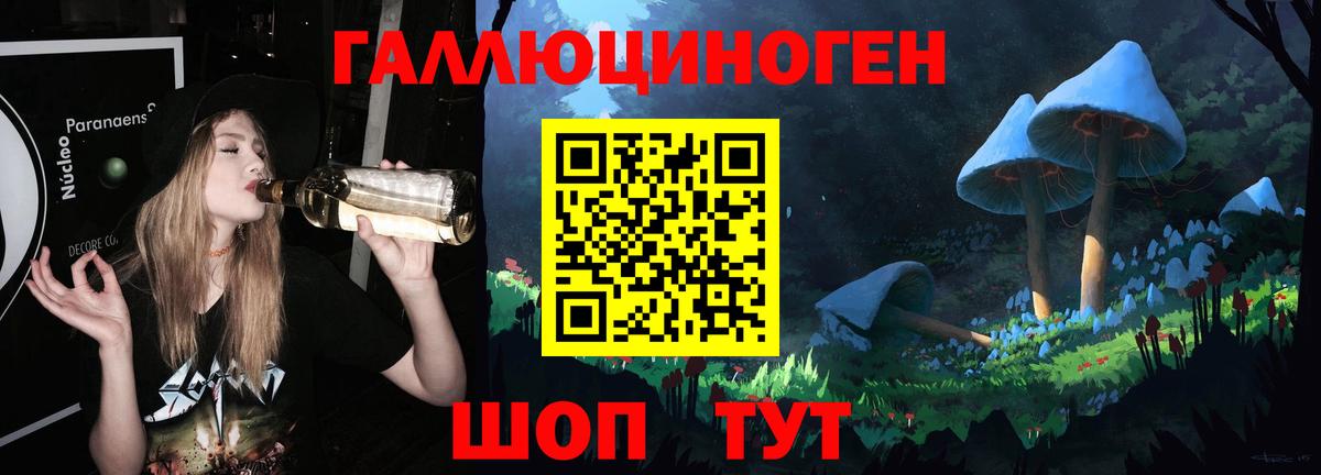 Галлюциногенные грибы Psilocybine cubensis Котельники